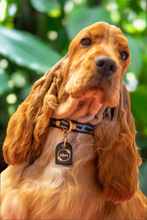 Load image into Gallery viewer, Genuine Leather Dog Collar: Saint -Yves Collar