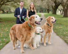 Load image into Gallery viewer, Bestseller// Genuine Leather Dog Collar: Pip Collar  Equestrian Green &amp; Hot Pink Dog Collar