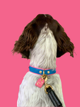Load image into Gallery viewer, Genuine Leather Dog Collar: Key Largo Collar