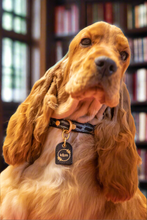 Load image into Gallery viewer, Genuine Leather Dog Collar: Saint -Yves Collar