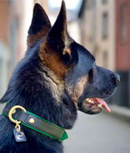 Load image into Gallery viewer, Genuine Leather Dog Collar: Ravenna Collar