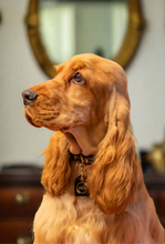 Load image into Gallery viewer, Genuine Leather Dog Collar: Saint -Yves Collar