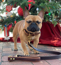 Load image into Gallery viewer, Galloway Lead for Dogs Chestnut Brown