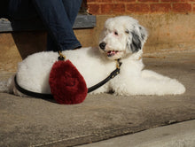Load image into Gallery viewer, Genuine Shearling Grip For Dogs: Méribel Grip