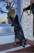 Load image into Gallery viewer, Monaco Grip For Dog Leads