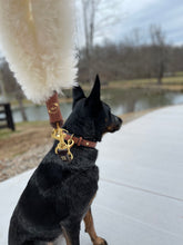 Load image into Gallery viewer, Genuine Leather Dog Collar: Cavalli Collar