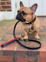 Load image into Gallery viewer, Dooley Grip For Dog Leads