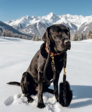 Load image into Gallery viewer, Genuine Shearling Grip, Leather/Nylon Rope Leash: Gstaad (The Set)