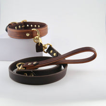 Load image into Gallery viewer, Barneys Grip For Dog Leads