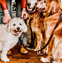 Load image into Gallery viewer, Barneys Grip For Dog Leads